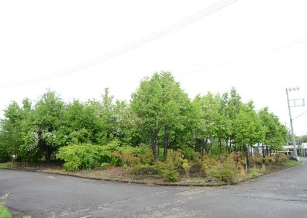 【土地】大田原市小滝